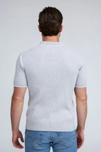 Load image into Gallery viewer, Raffi Mario Polo In Grey