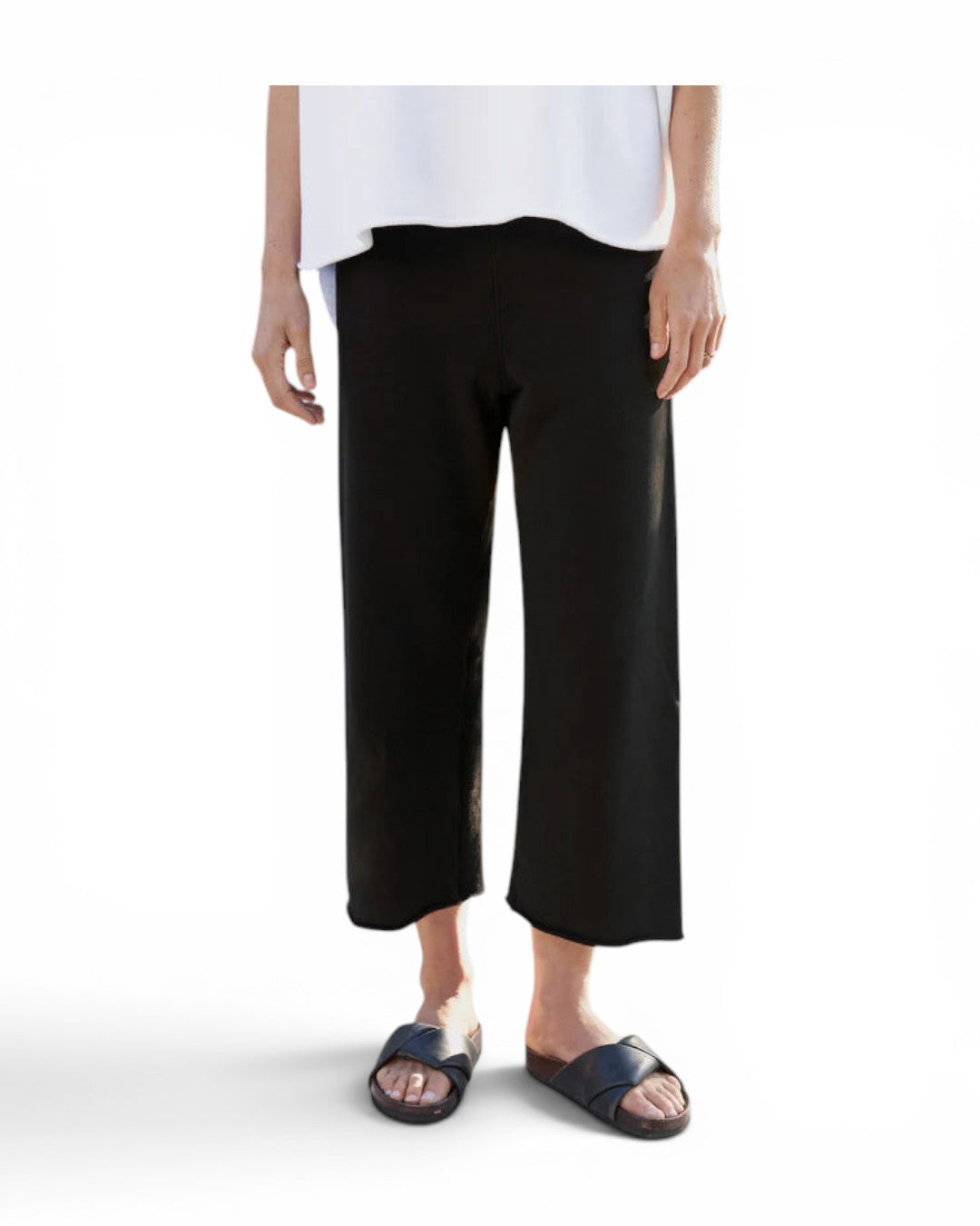Frank &amp; Eileen Catherine Favorite Sweatpant In Black