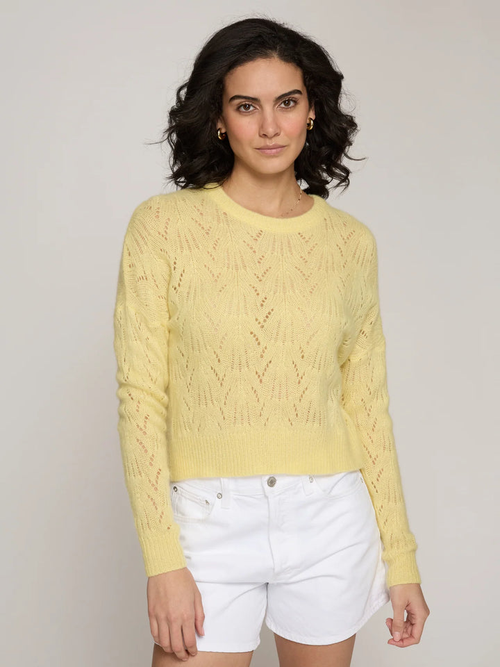 Autumn Cashmere Allover Pointelle Crew In Daffodil